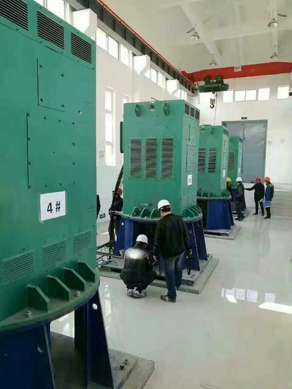 雁峰某污水处理厂使用我厂的立式高压电机安装现场